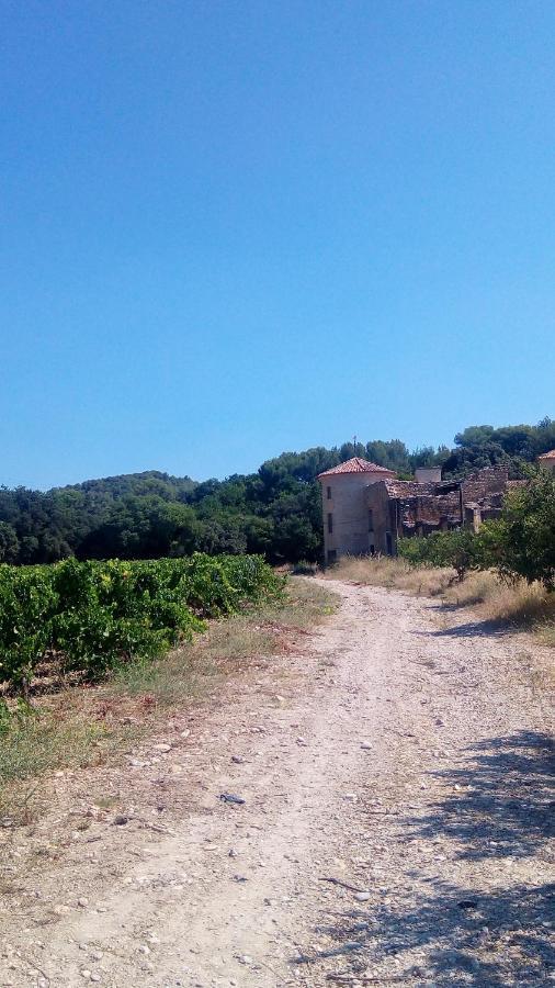 Les Cigales Panzió Villelaure Kültér fotó