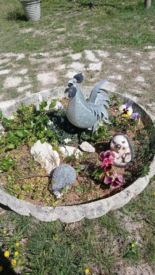 Les Cigales Panzió Villelaure Kültér fotó